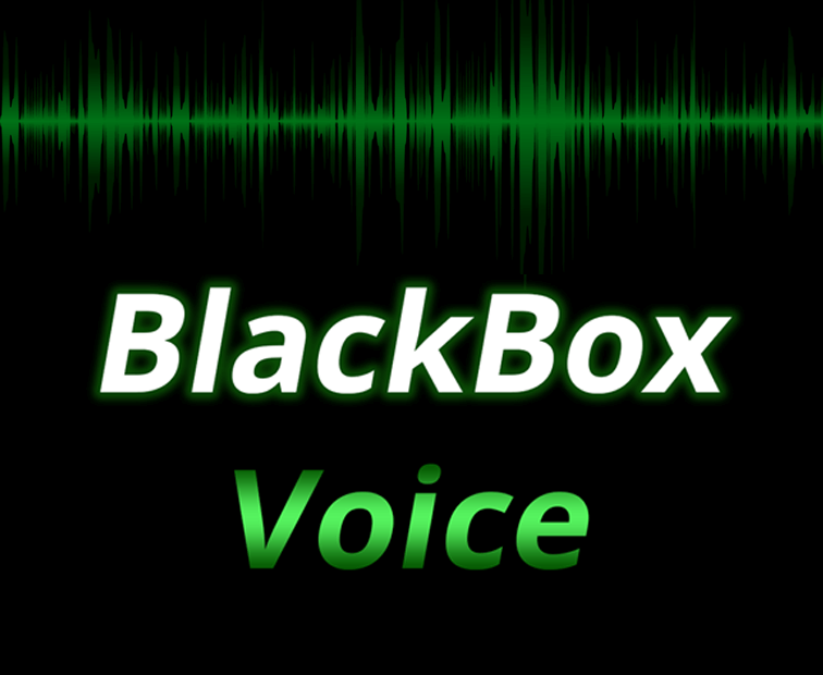 BlackBox Voice 